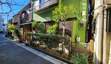 A little greenery in Yanaka