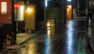 Rainy night in Gion