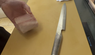 Sushi chefs of reddit! Am I slicing this hamachi the correct way? To use for nigiri