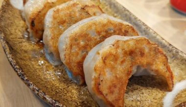 Best gyoza I've ever had. Tried it in a ramen resto in the Philippines. (their ramen is also great! super thick broth)