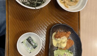 Cheap lunch at Kameido. Mini Negitorodon