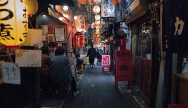 Omoide Yokocho, Shinjuku, Tokyo - Picture by Giorgio Profili