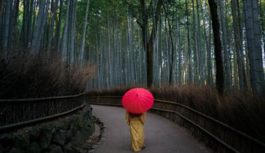 [OC] Arashiyama Bamboo Grove - Kyoto