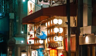 I love the night life of Namba, Osaka [OC]