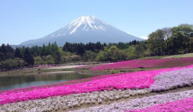 Fuji San in Spring