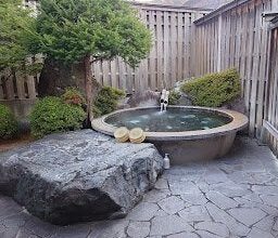 Can I book multiple plans in a multiple night ryokan stay? having trouble with a specific ryokan in mind.