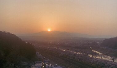 sunset during cherry blossom season. ogawara, miyagi.