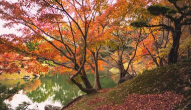 Autumn colours - Ritsurin Koen, Takamatsu