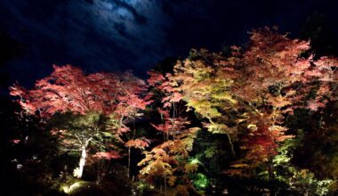 Illumination at Rinno-ji temple, Nikko