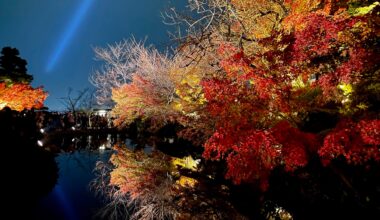 Autumn foliage at the Kiyomizu dera illuminations 22/11/22