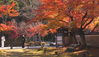 Chasing the momiji colours, Kodaiji Temple, Kyoto.