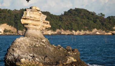 Bird landing on a small rock island in Matsushima Bay