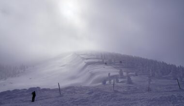 Zao Onsen, Yamagata and its Snow Monsters