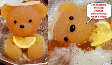 Dined at the cutest and most horrifying bear hot pot in Japan, Kuma-chan Onsen in Shibuya. Literally watched the cute collagen bear melt away in horror and turn into tasty soup. The restaurant itself is also bear themed, from wall decorations and bear plushies down to its water cups.