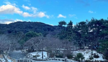 Maruyama Kōen (円山公園) - Usually walk around here to reflect, take a break, and appreciate nature. Looking forward to spring!