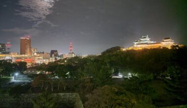 Wakayama-jo By Night/Day