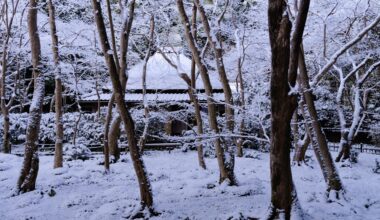 Gionji Temple, Sagano, Kyoto, snowy morning