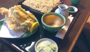 Burdock Root Tempura & Soba