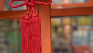 I took this photo in Fushimi Inari—can anyone give some culture/background to this style of knot?