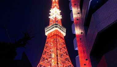 Tokyo tower shining bright.