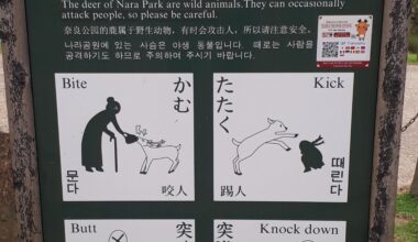 Deer Warning in Nara Park, Nara, Japan