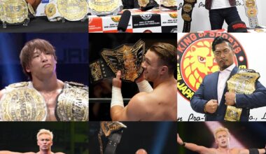 the last 9 world title reigns (plus a vacancy)