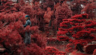 Tending the garden in Hiroshima