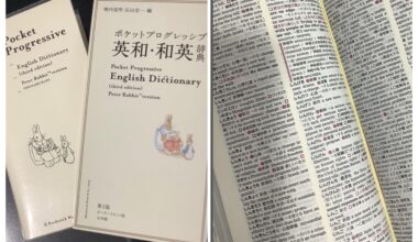 I sometimes use the dictionary. It's my English dictionary. I fell in love with this cute Peter Rabbit pattern at first sight and bought this. We can look up from English to Japanese and from Japanese to English in one dictionary.日本の英語辞典です。英語を学んでいる私の、お気に入りの辞典です。特に、日本語から英語を調べる「和英」をよく使います。