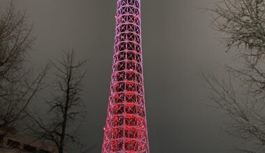 Evening in Yokohama