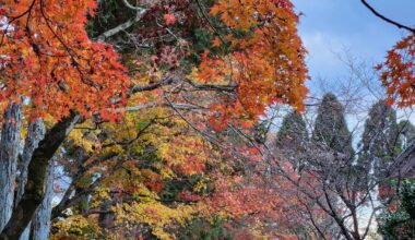 Glorious Tofukuji Temple in autumn