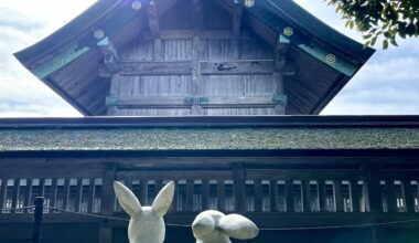 Rabbits at Izumo-Taisha, the oldest shrine in Japan. Izumo, Shimane.