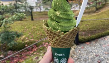 golden dust from the golden pavilion on matcha ice cream (kyoto)