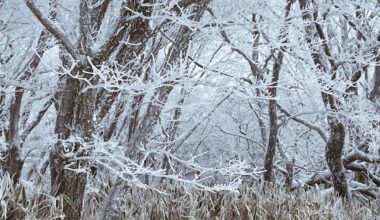 Winter magic in the mountains of Kumamoto Prefecture