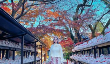 Japan in December, it still looks like autumn! I finally went to Gotokuji, the "cat temple". Swipe to see all the pictures.