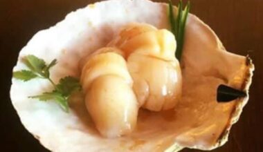 Scallop nigiri in its own shell.