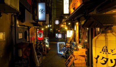 Alleys in Umeda, Osaka, lined with izakaya (Japanese-style pubs).