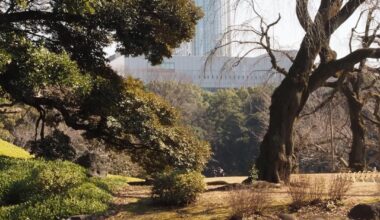 Spring in Koishikawa Korakuen Gardens, Tokyo