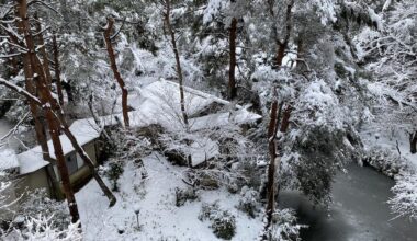 snowy japanese garden (onsen)