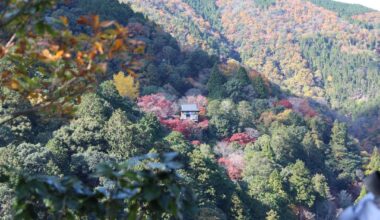 kyoto arashiyama bamboo forest look out - Autumn 2019
