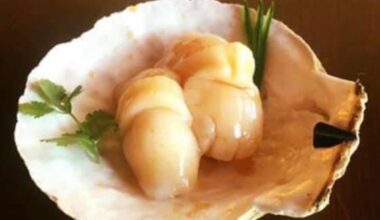 Scallop (hotate) nigiri sushi in its own shell.