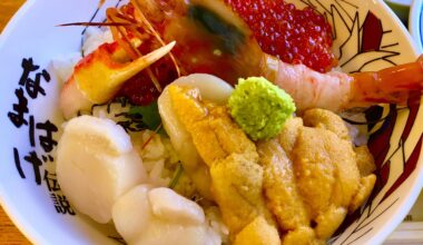 Sashimi Bowl from a tiny shop on the Oga Peninsula (Akita, Japan)