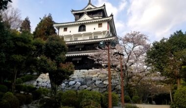 Iwakuni Castle and the View