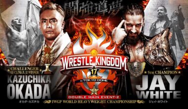 [NJPW] I still think this is an extremely underrated main event and has not been talked about enough. What a match and story these two told