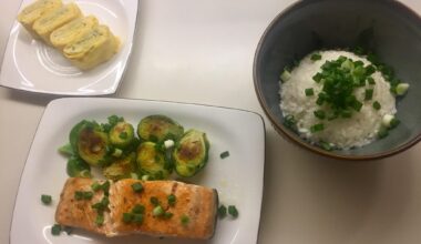 Salmon, tamagoyaki, and rice I made