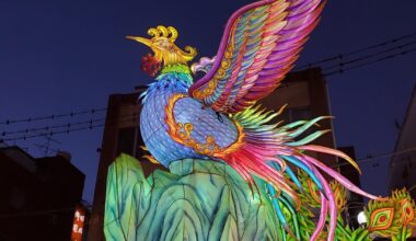 Phoenix and Dragon lanterns in China town.