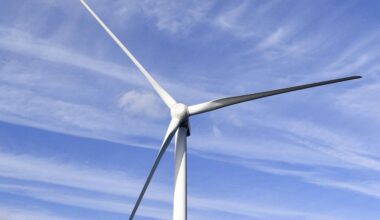 Japan looks beyond territorial waters for wind power amid green push