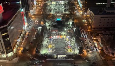 Sapporo Snow Festival from the TV Tower