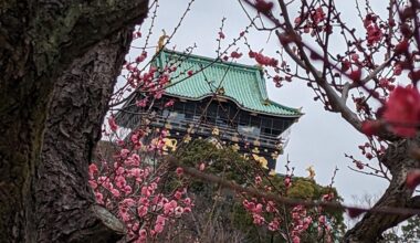 Osaka castle