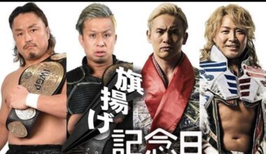 The idea of Yoshi-Hashi 2 Belts makes me so very, very excited.