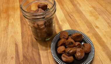 Homemade Umeboshi (description in the comments)